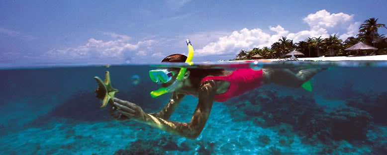Şnorkel Dalışı - Sharm El Sheikh