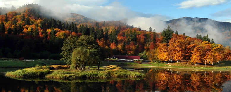 Sonbaha Manzarası - Poiana Brasov