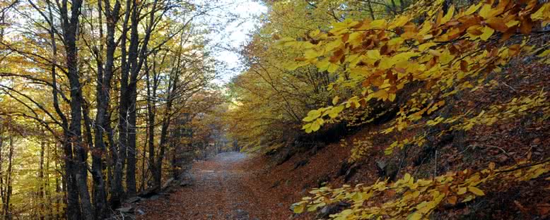 Sonbahar - Kazdağları