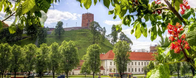 Gediminas Kulesi - Vilnius