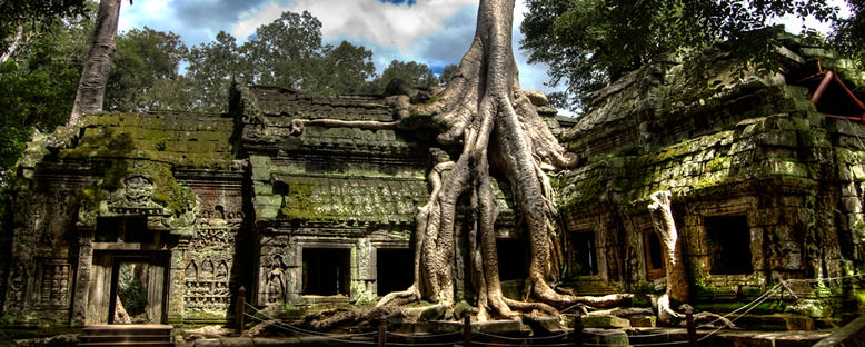 Ta Prohm Tapınağı - Siem Reap