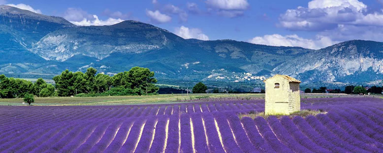 Tarlalar - Aix-En-Provence