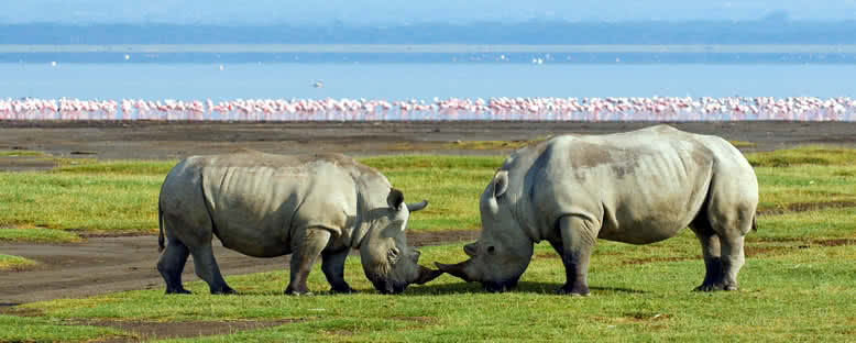 Ulusal Park - Nakuru Gölü