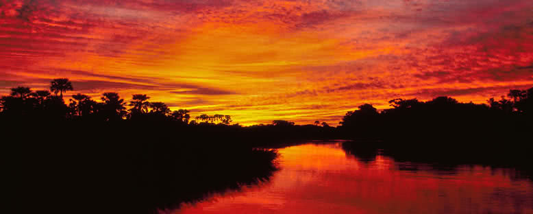 Ulusal Park'ta Günbatımı - Botswana