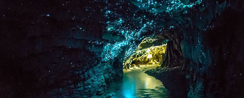 Waitomo Mağaraları - Yeni Zelanda