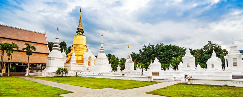 Wat Suan Dok Tapınağı - Chiang Mai